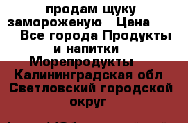 продам щуку замороженую › Цена ­ 87 - Все города Продукты и напитки » Морепродукты   . Калининградская обл.,Светловский городской округ 